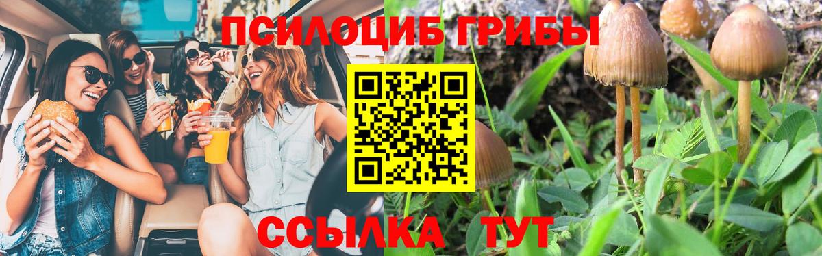 Галлюциногенные грибы Psilocybe Красноармейск